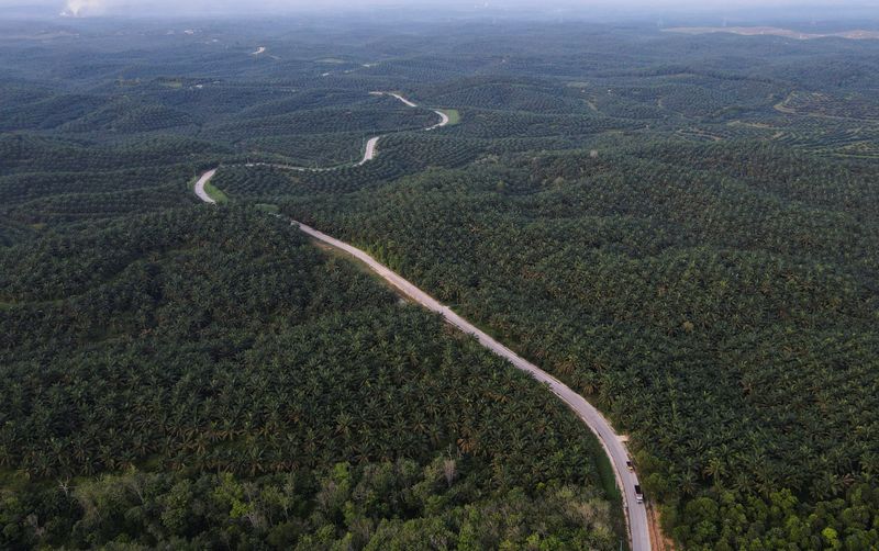 Indonesia palm oil export curbs, biodiesel plans to hit world vegoil supplies
